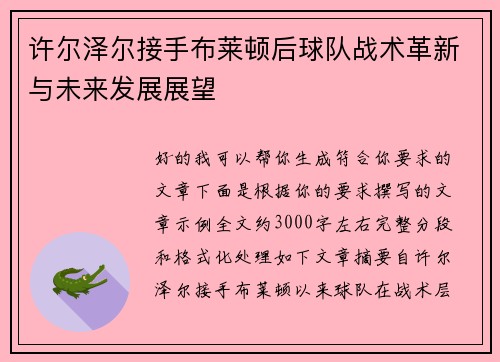许尔泽尔接手布莱顿后球队战术革新与未来发展展望
